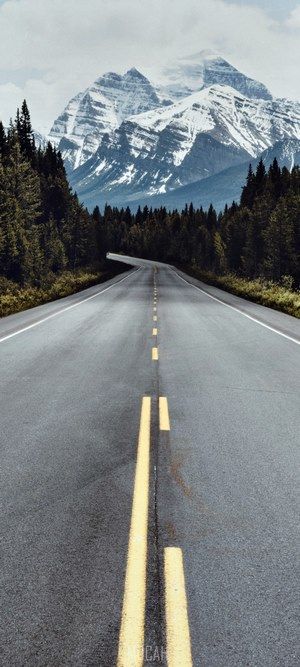 maiomi (maiomi.lens) Lens social identity (.lens handle) PFP