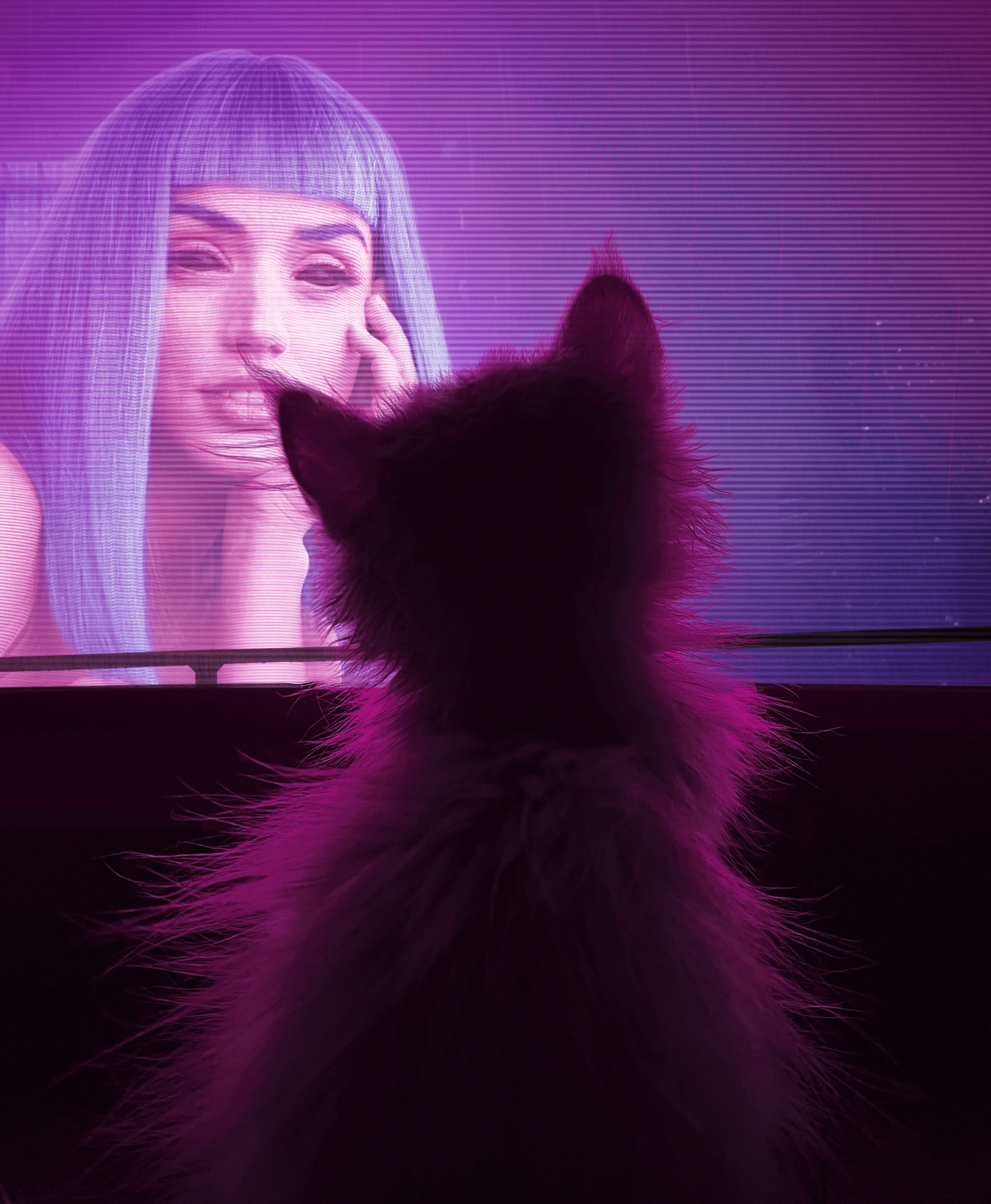 Maggie Smith (catrunner2049.lens) Lens social identity (.lens handle) PFP