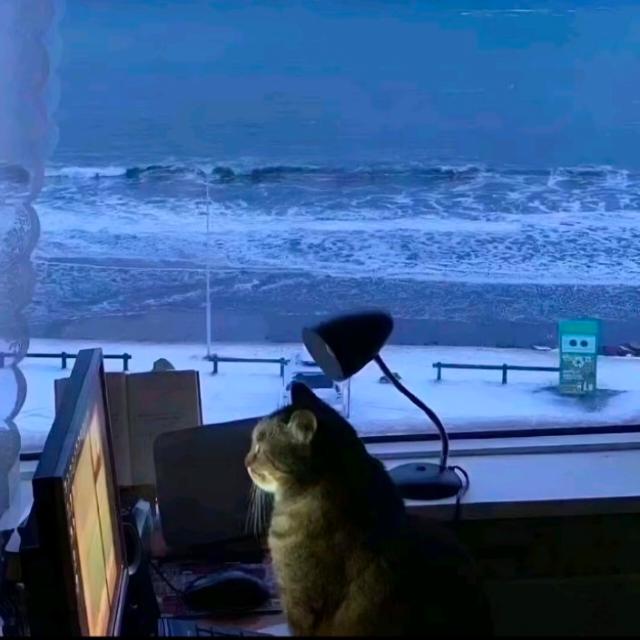 Avenid (avenid.lens) Lens social identity (.lens handle) PFP