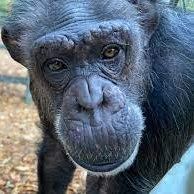 sexxik (sexxik.lens) Lens social identity (.lens handle) PFP