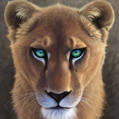 Casey's Lens avatar
