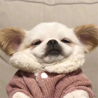 newma (newma.lens) Lens social identity (.lens handle) PFP