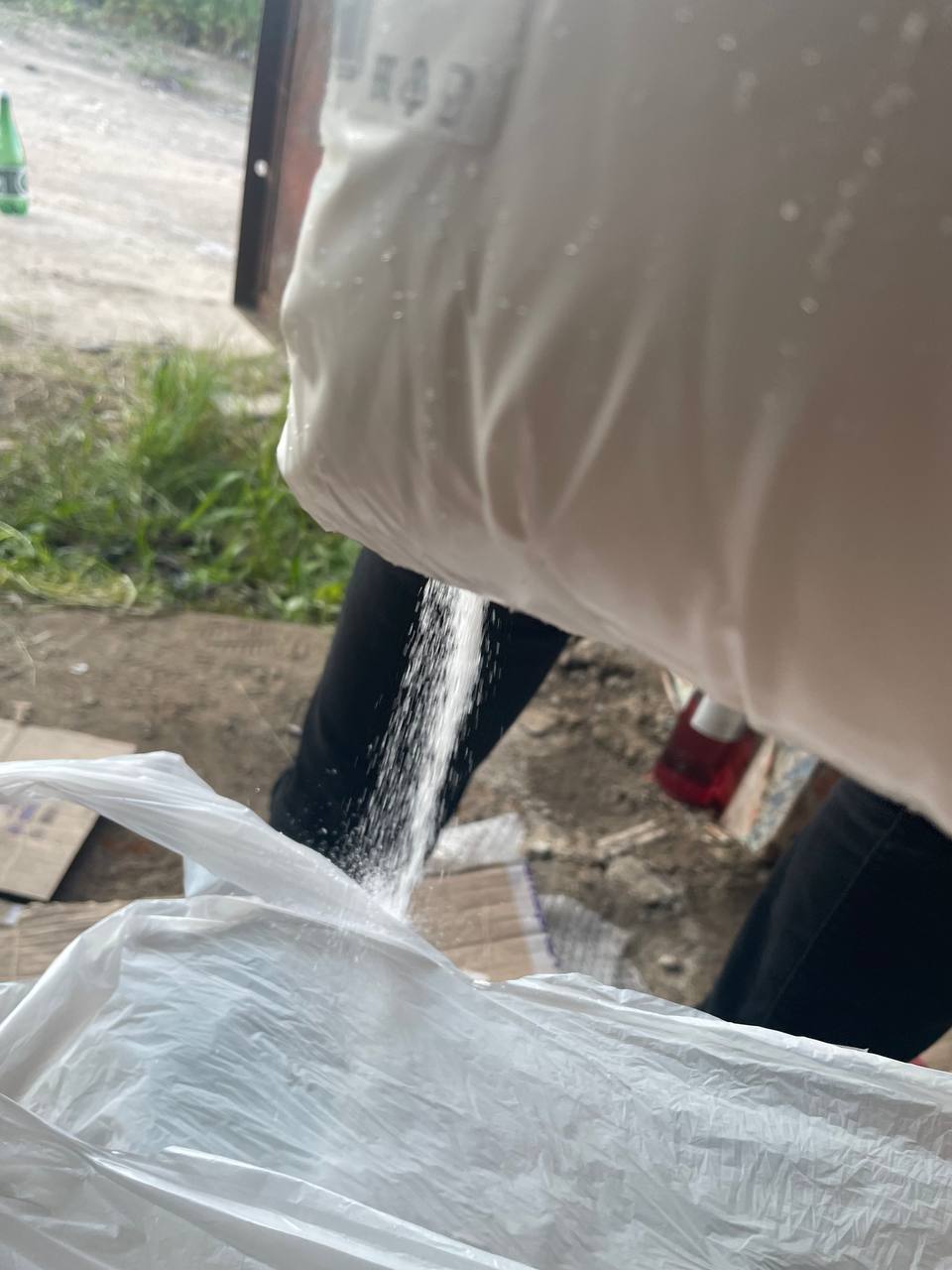 shimmer2333 (shimmer2333.lens) Lens social identity (.lens handle) PFP