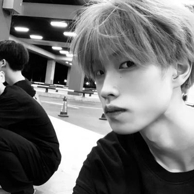 Ann Romeo (annromeo.lens) Lens social identity (.lens handle) PFP