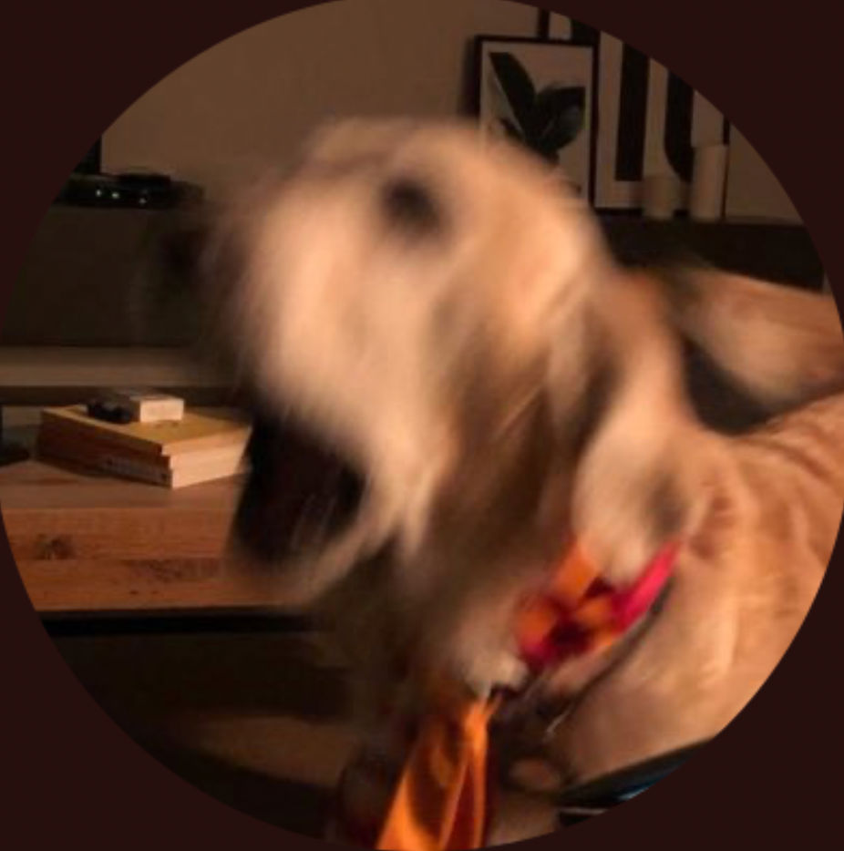 Tori Picklehead ◱ ◱'s Lens avatar