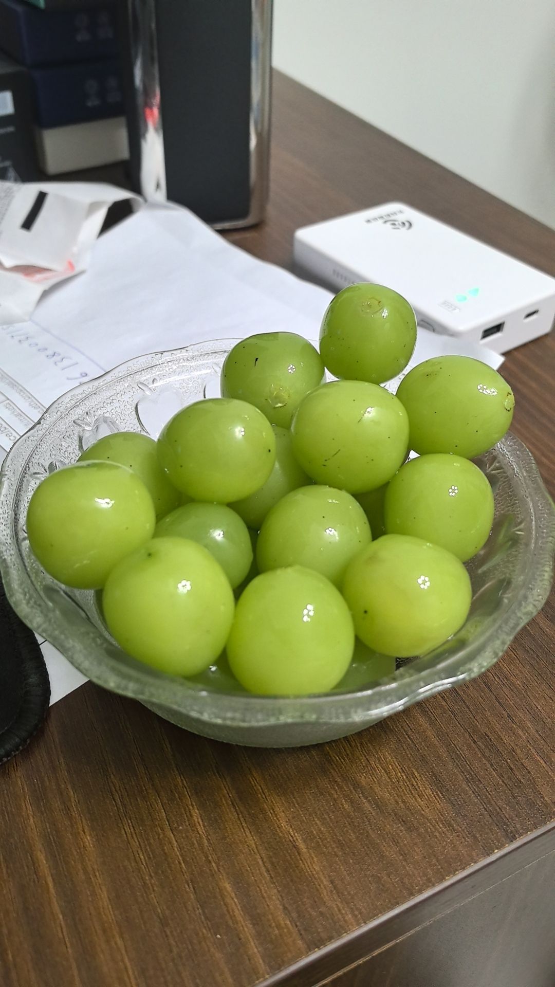 shy87095 (shy87095.lens) Lens social identity (.lens handle) PFP