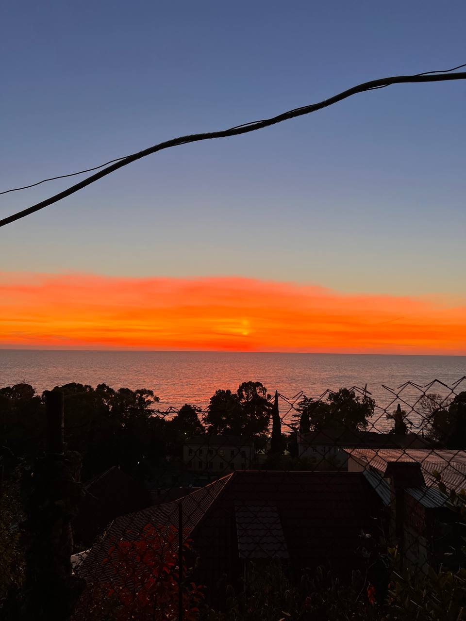 Neli (ethae77.lens) Lens social identity (.lens handle) PFP