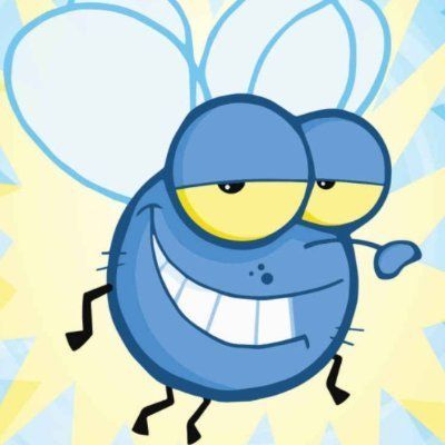 Crypto Fly's Lens avatar