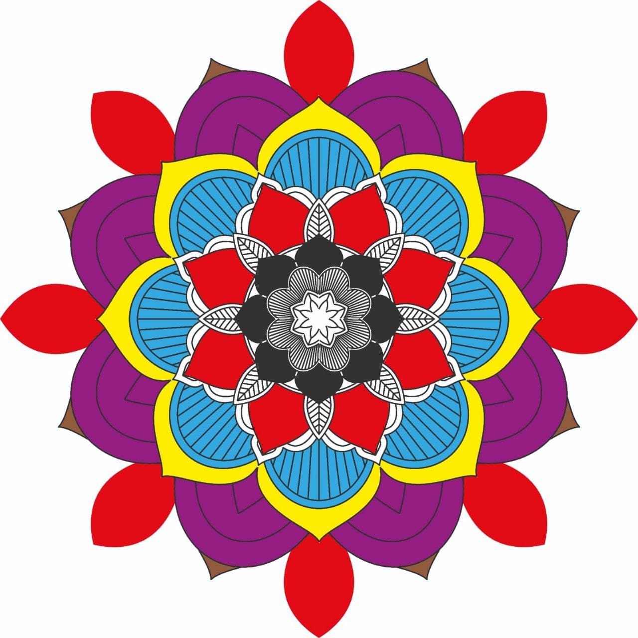 Crypto Follower's Lens avatar
