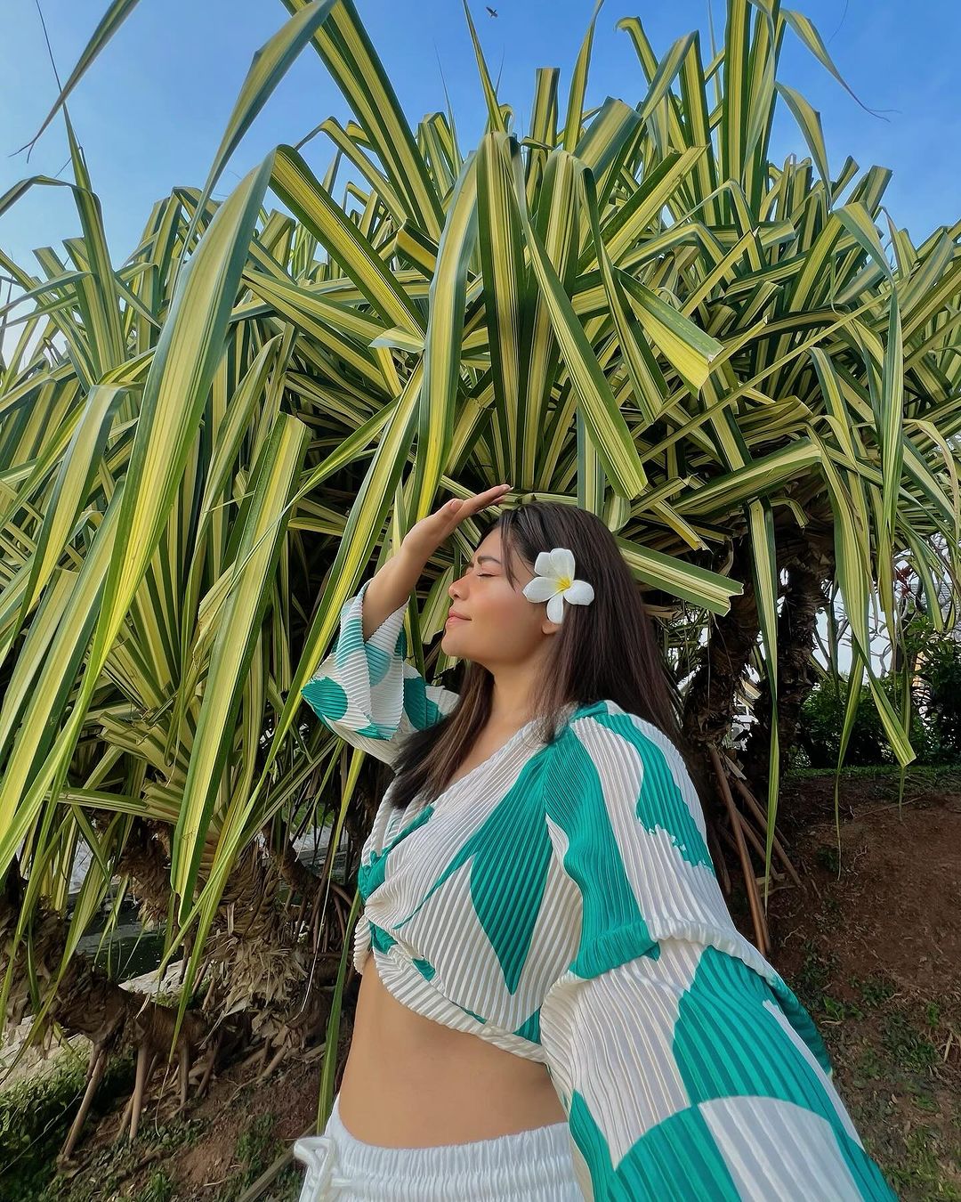 Charlotte Panabaker (yennsas.lens) Lens social identity (.lens handle) PFP