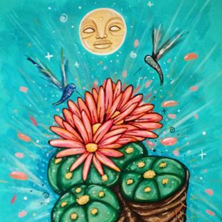 peyot (exploremore.lens) Lens social identity (.lens handle) PFP