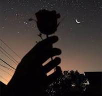 Tatyana (tatyanasv.lens) Lens social identity (.lens handle) PFP