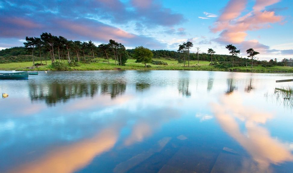 kelebi (kelebi.lens) Lens social identity (.lens handle) PFP