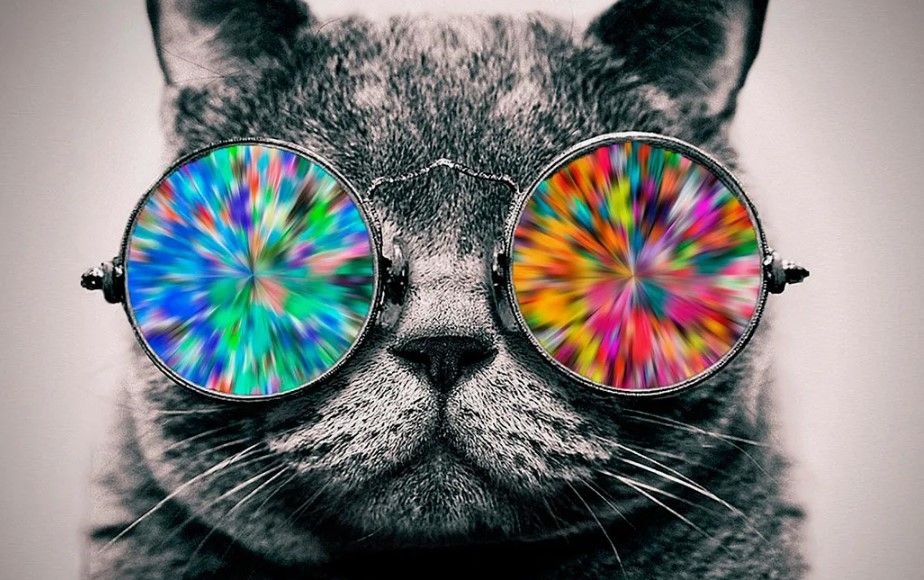 pilikan's Lens avatar
