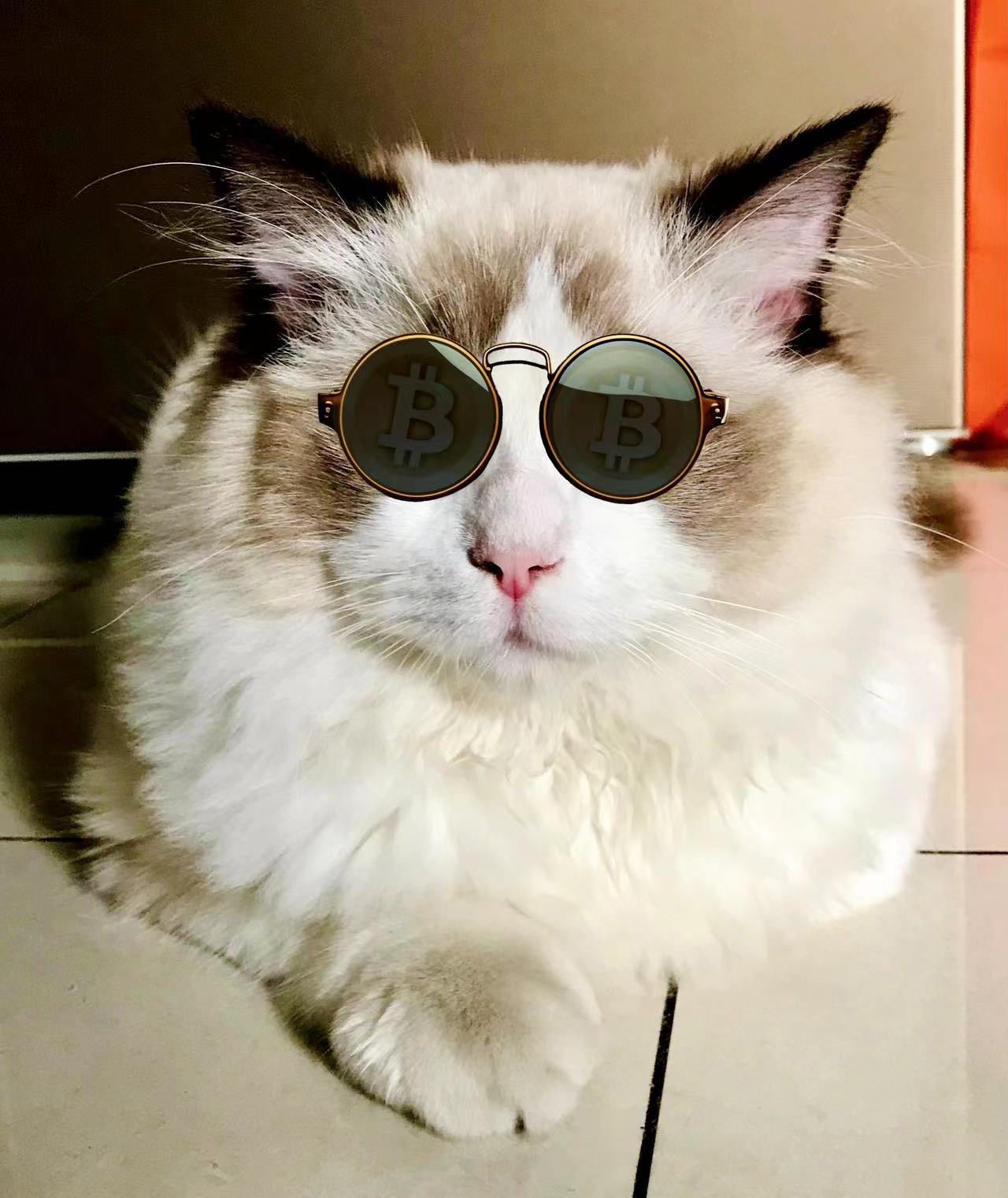 emilyzhong (emilyzhong.lens) Lens social identity (.lens handle) PFP