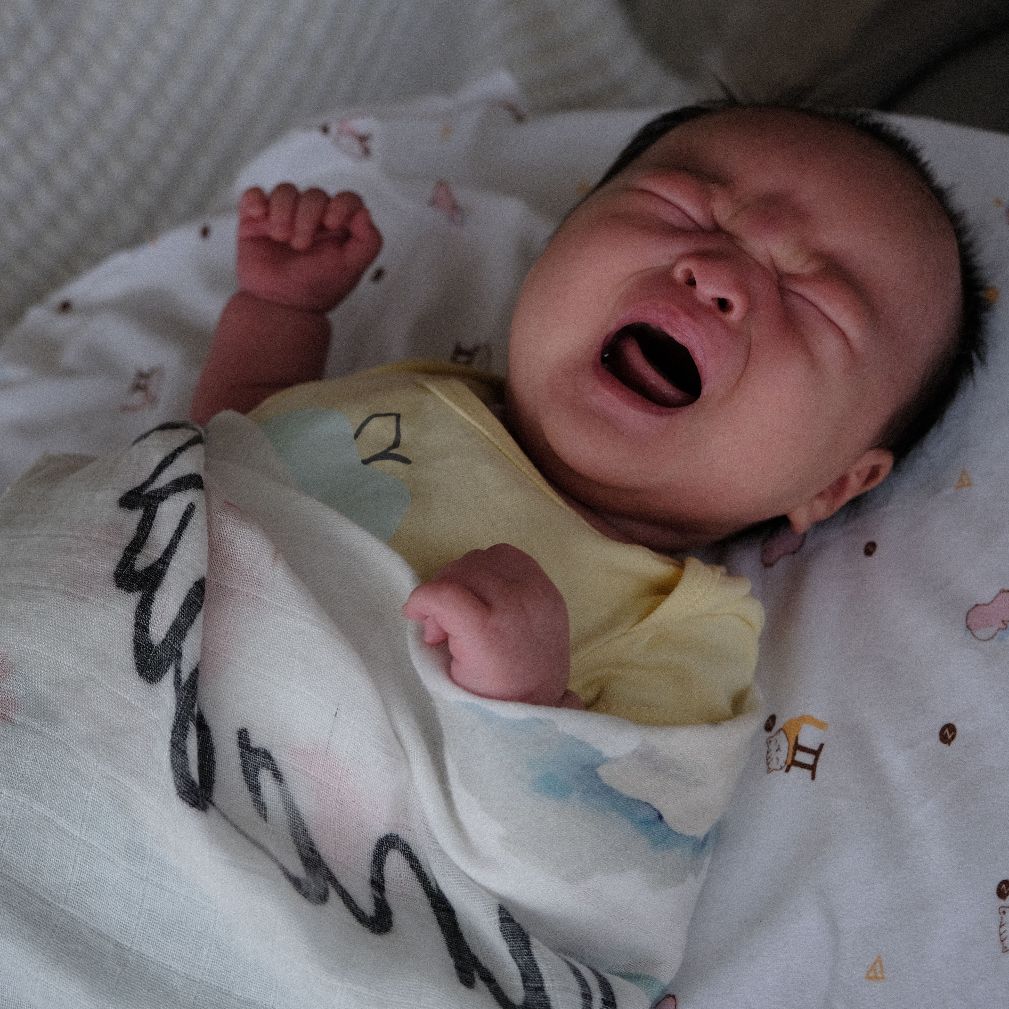 mabuuuxx.eth Ethereum Name Service (ENS and .eth domain) PFP