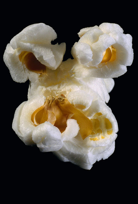 Kapax (kapax.lens) Lens social identity (.lens handle) PFP