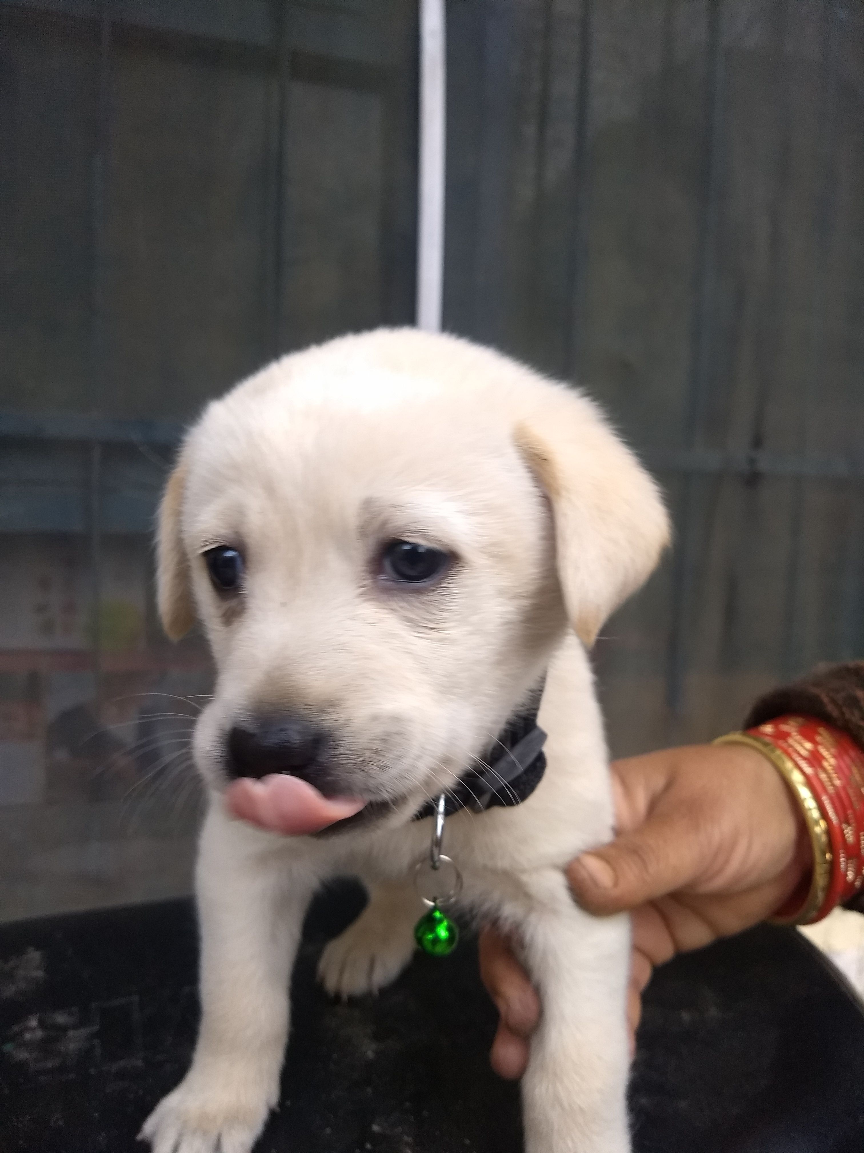 cooldude (c00ldude.lens) Lens social identity (.lens handle) PFP