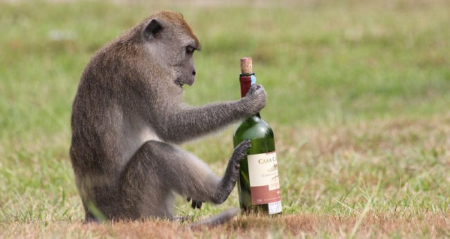 dimon (dimondalbon.lens) Lens social identity (.lens handle) PFP