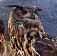 gleb (glebbub.lens) Lens social identity (.lens handle) PFP