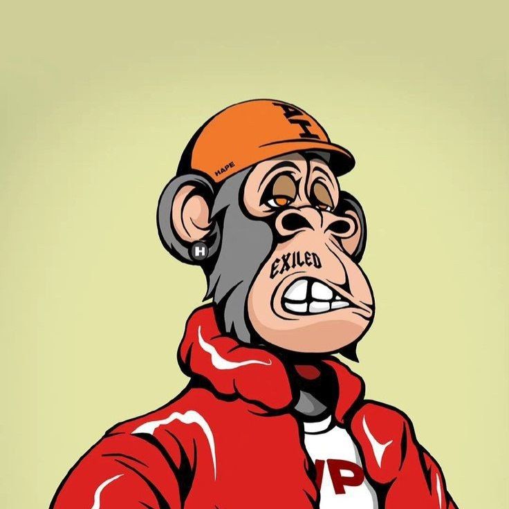 Idonnd (idonnd.lens) Lens social identity (.lens handle) PFP