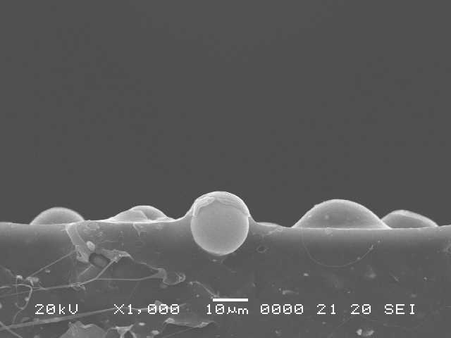 wifeyroo.lens Lens social identity (.lens handle) PFP