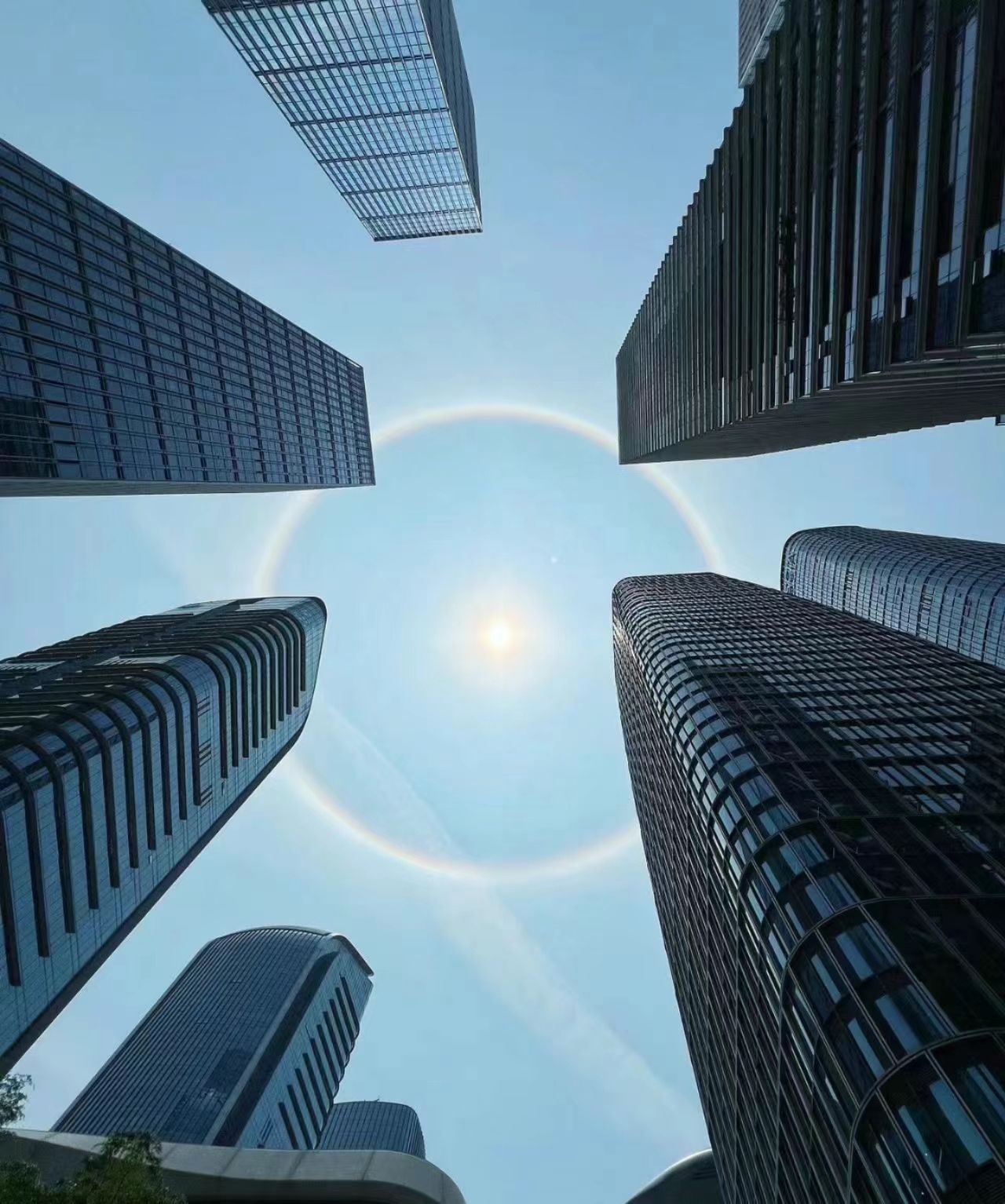 xiaoniu (picturesque.lens) Lens social identity (.lens handle) PFP