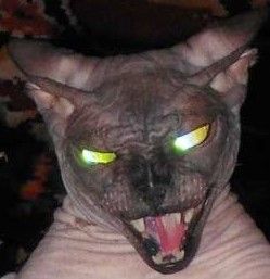 DESINHO (ethhu12.lens) Lens social identity (.lens handle) PFP