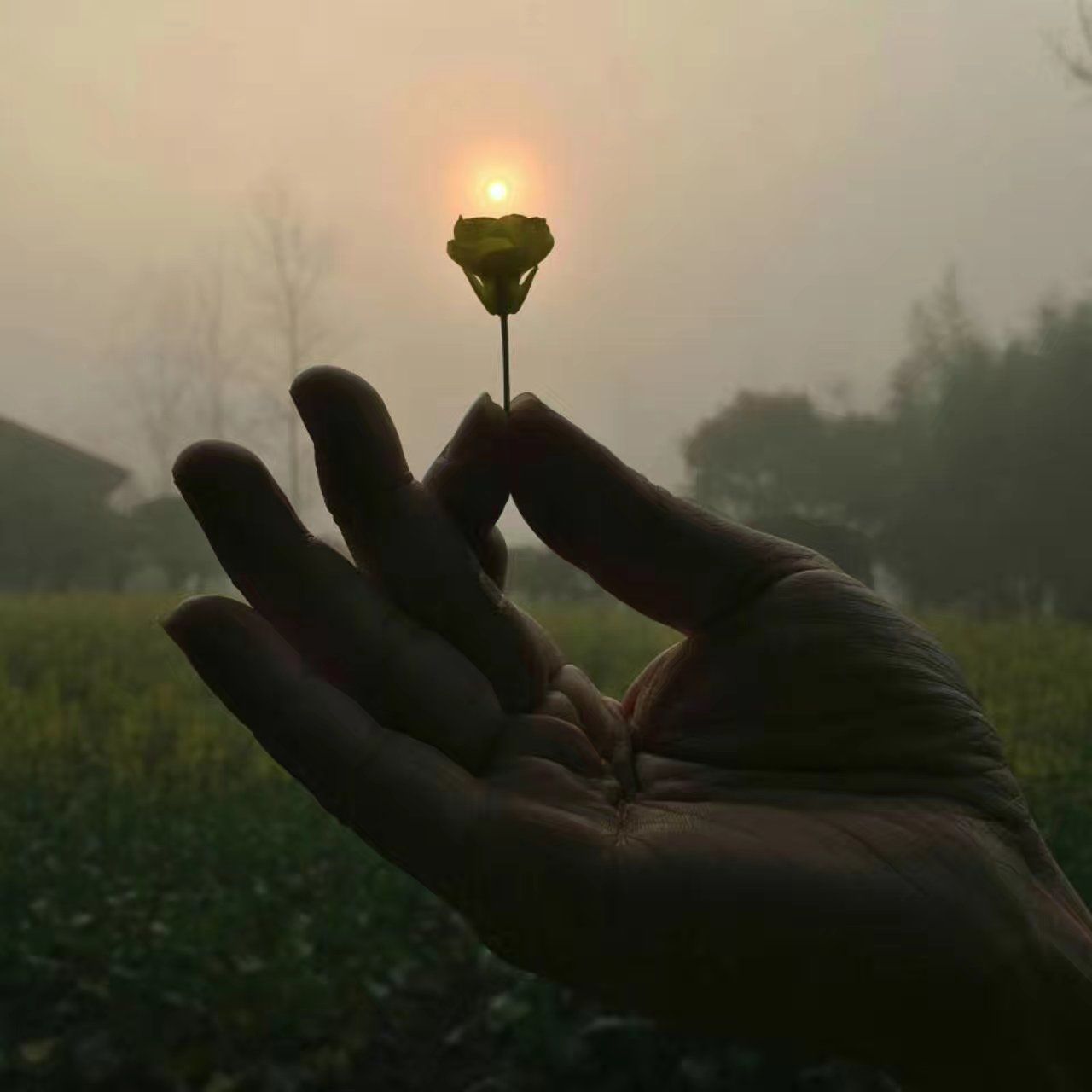 muxi (muxi3691.lens) Lens social identity (.lens handle) PFP