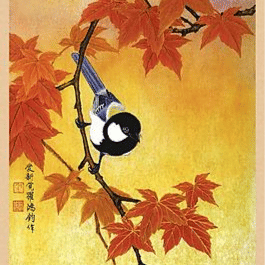 flower (broccolibaby.lens) Lens social identity (.lens handle) PFP