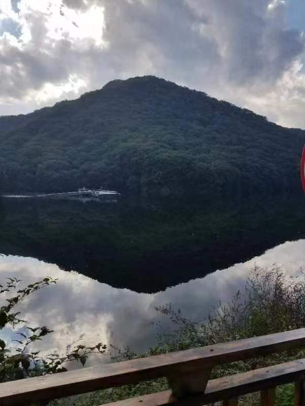 shiba (shiba18.lens) Lens social identity (.lens handle) PFP