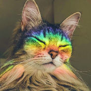 mikkell (mikkell.lens) Lens social identity (.lens handle) PFP