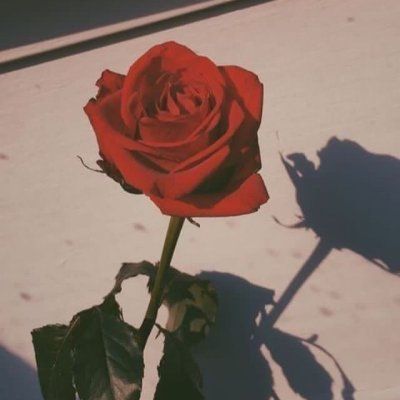 Aesthetics's Lens avatar