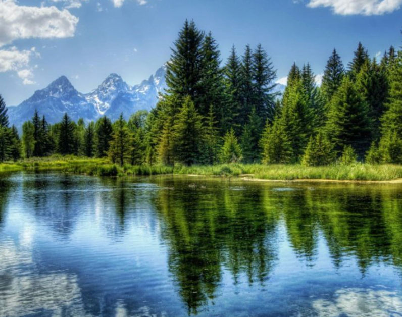 Lean (leandoer.lens) Lens social identity (.lens handle) PFP