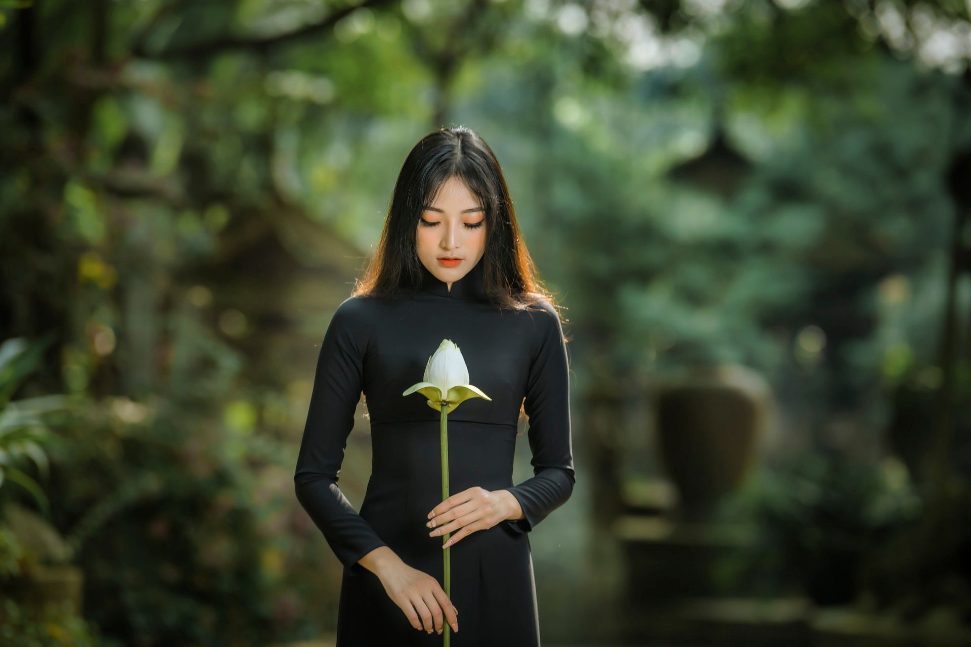 ilina's Lens avatar
