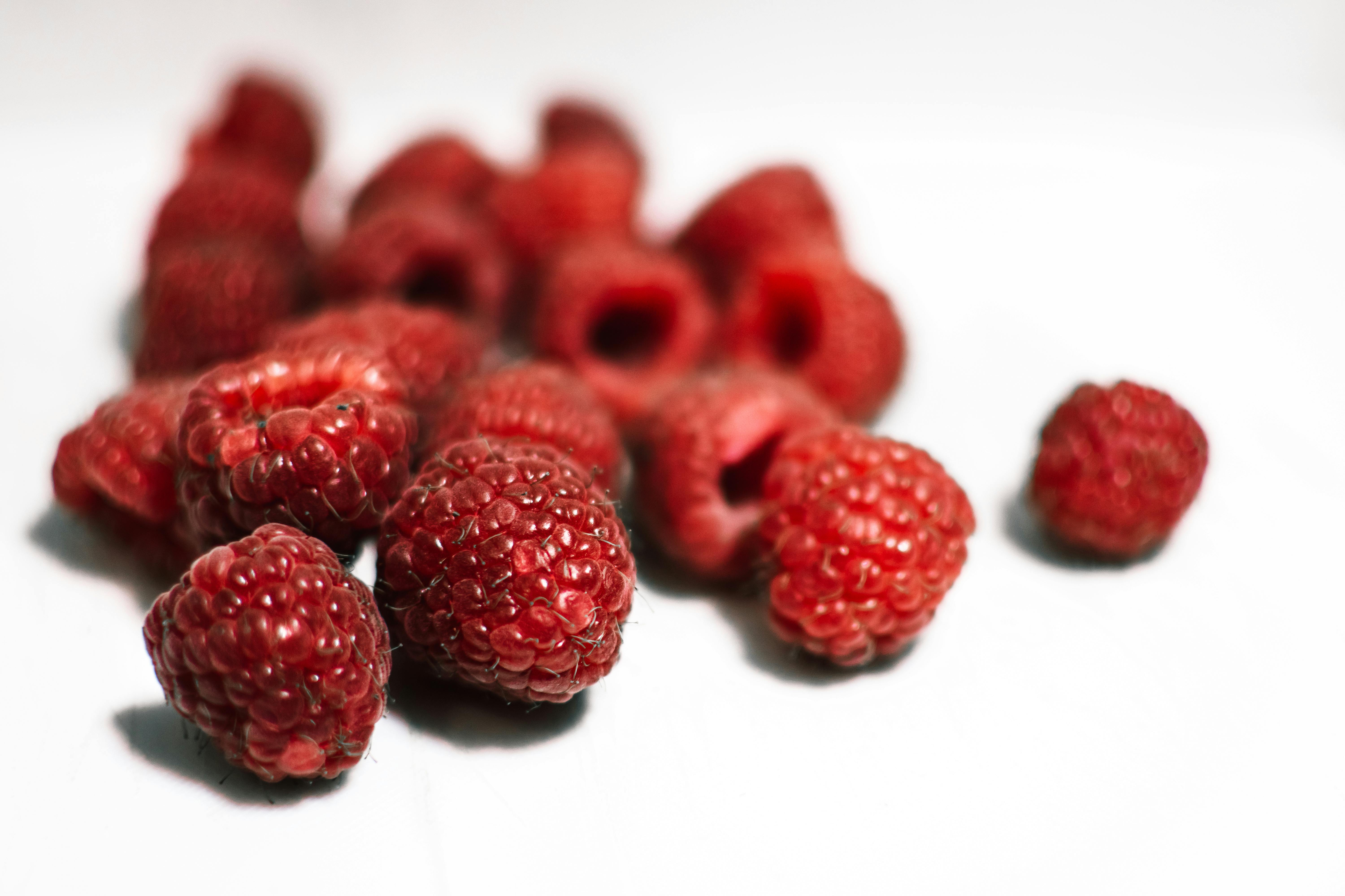 Gebob (gebob.lens) Lens social identity (.lens handle) PFP