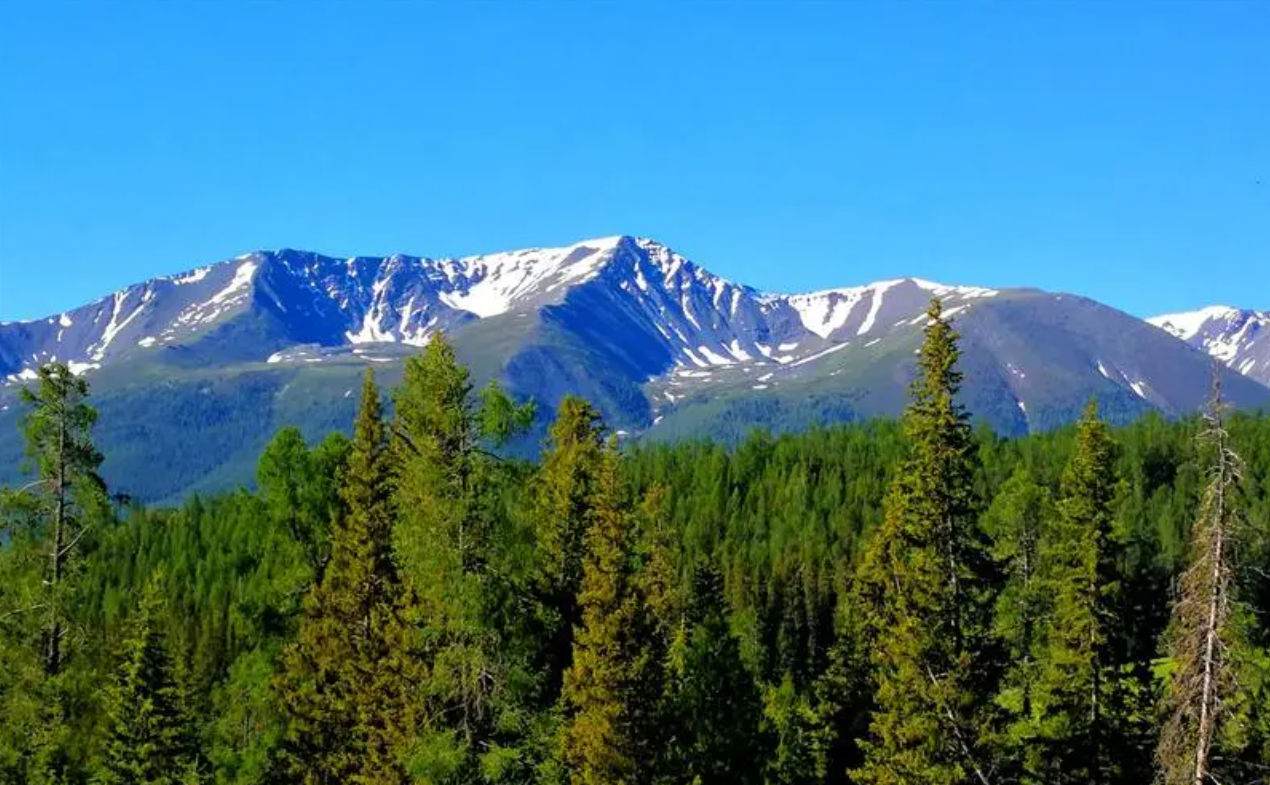 8-8-8-8-8-8-8-8-8.eth Ethereum Name Service (ENS and .eth domain) PFP