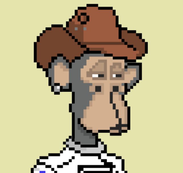 craggy's Lens avatar
