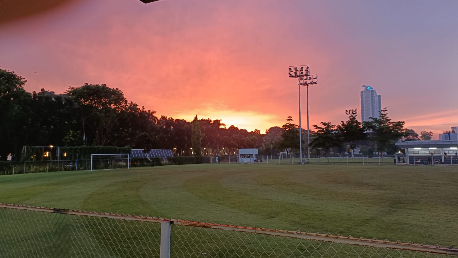 noningrumtiti (noningrum.lens) Lens social identity (.lens handle) PFP