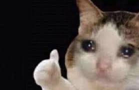 Bipin (bipin.lens) Lens social identity (.lens handle) PFP