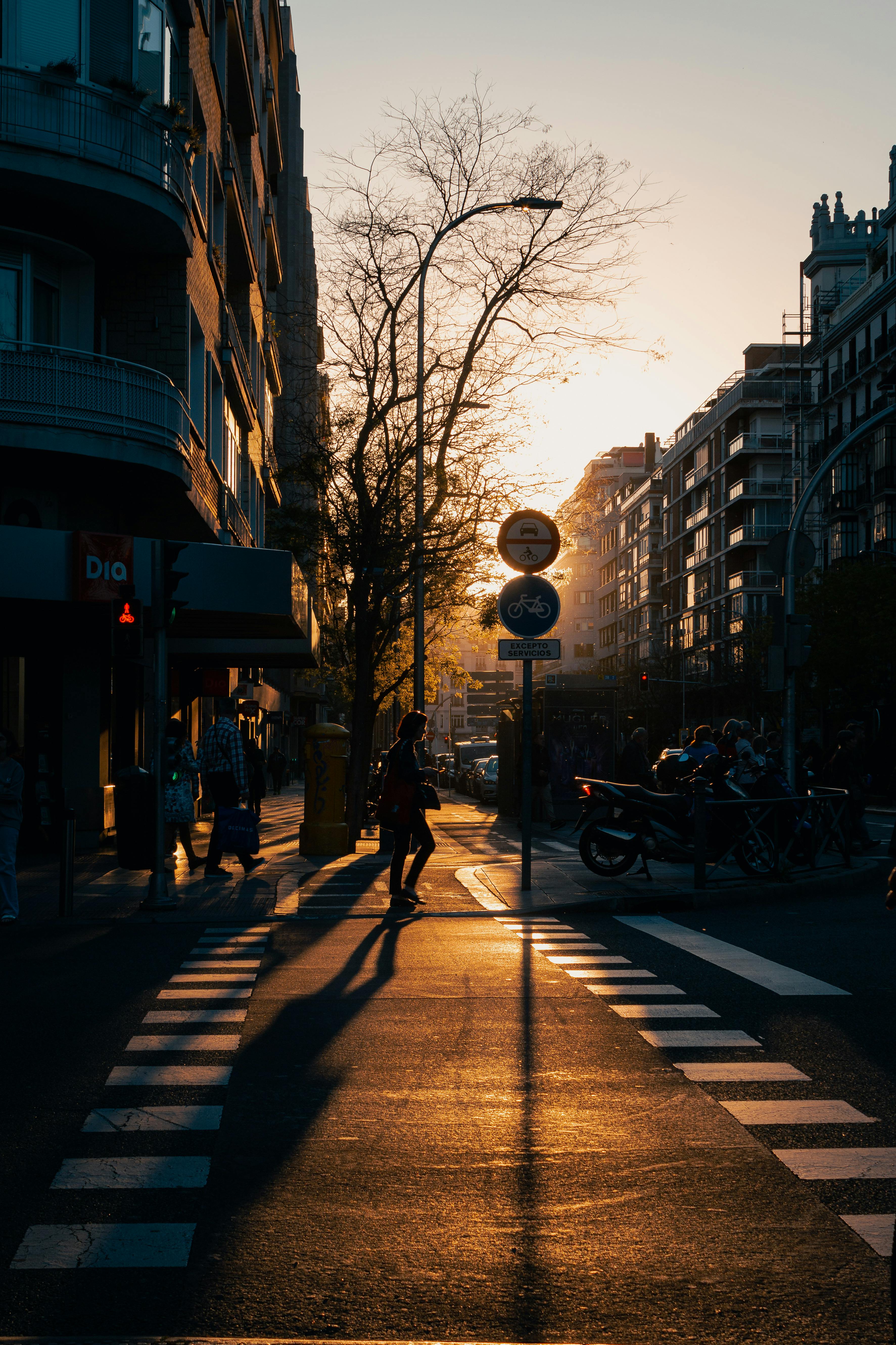 donna (ojndoikil.lens) Lens social identity (.lens handle) PFP