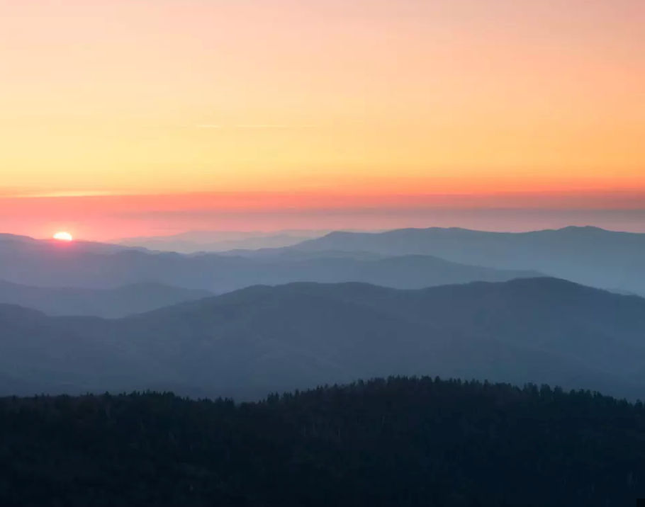 damon (boss1050.lens) Lens social identity (.lens handle) PFP