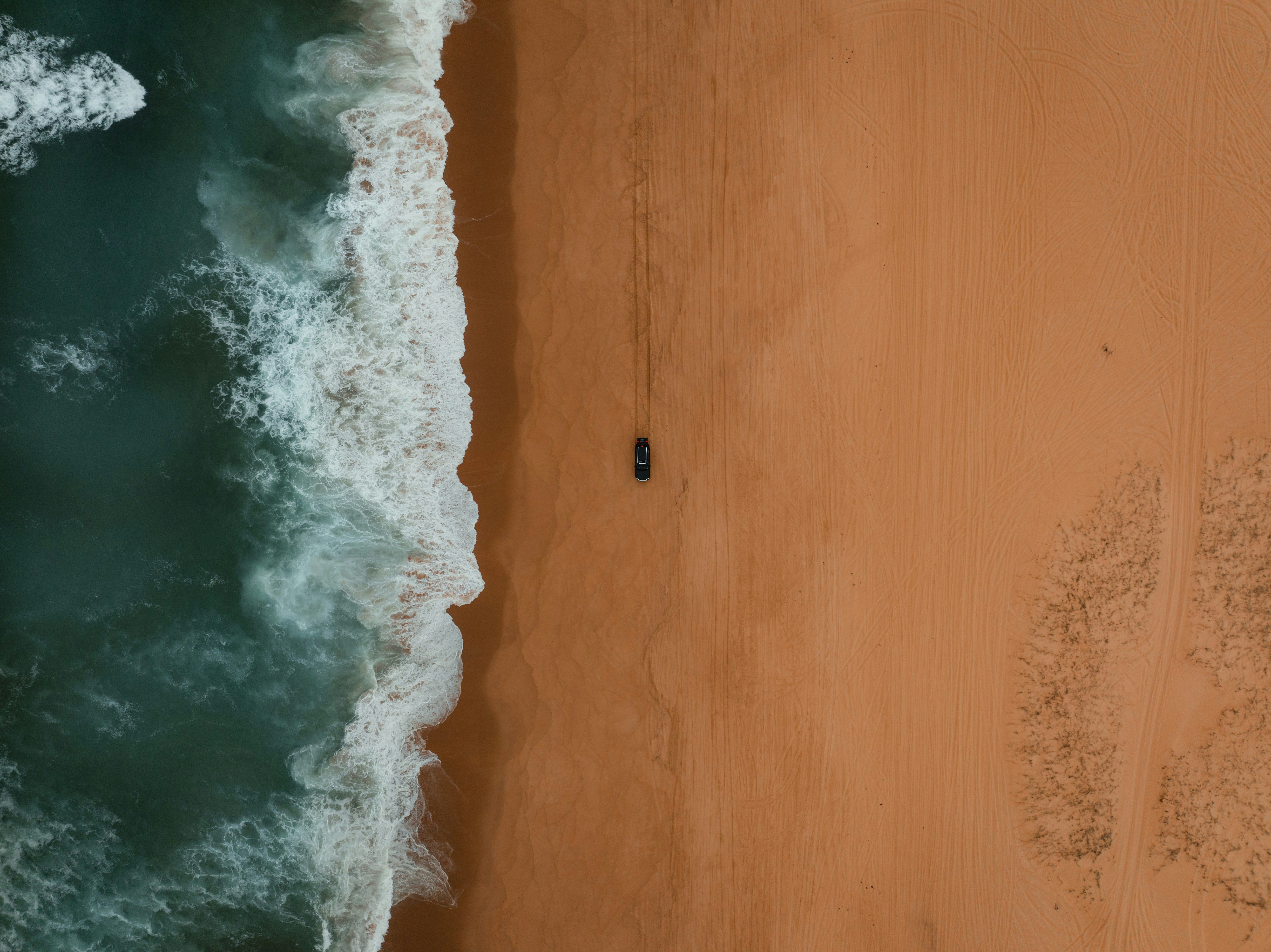 Garrick Fjiola (garrickfjiola.lens) Lens social identity (.lens handle) PFP