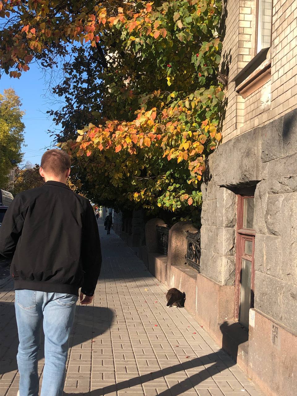 Dmitriy (eth96ab.lens) Lens social identity (.lens handle) PFP