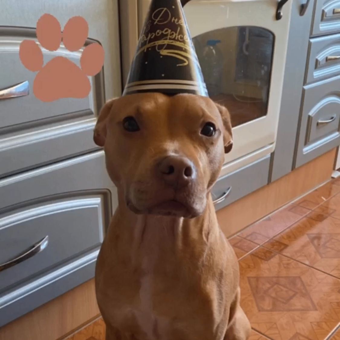 Hannah Mommy (hannahmommy.lens) Lens social identity (.lens handle) PFP