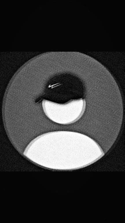 9icewolf (9icewolf.lens) Lens social identity (.lens handle) PFP