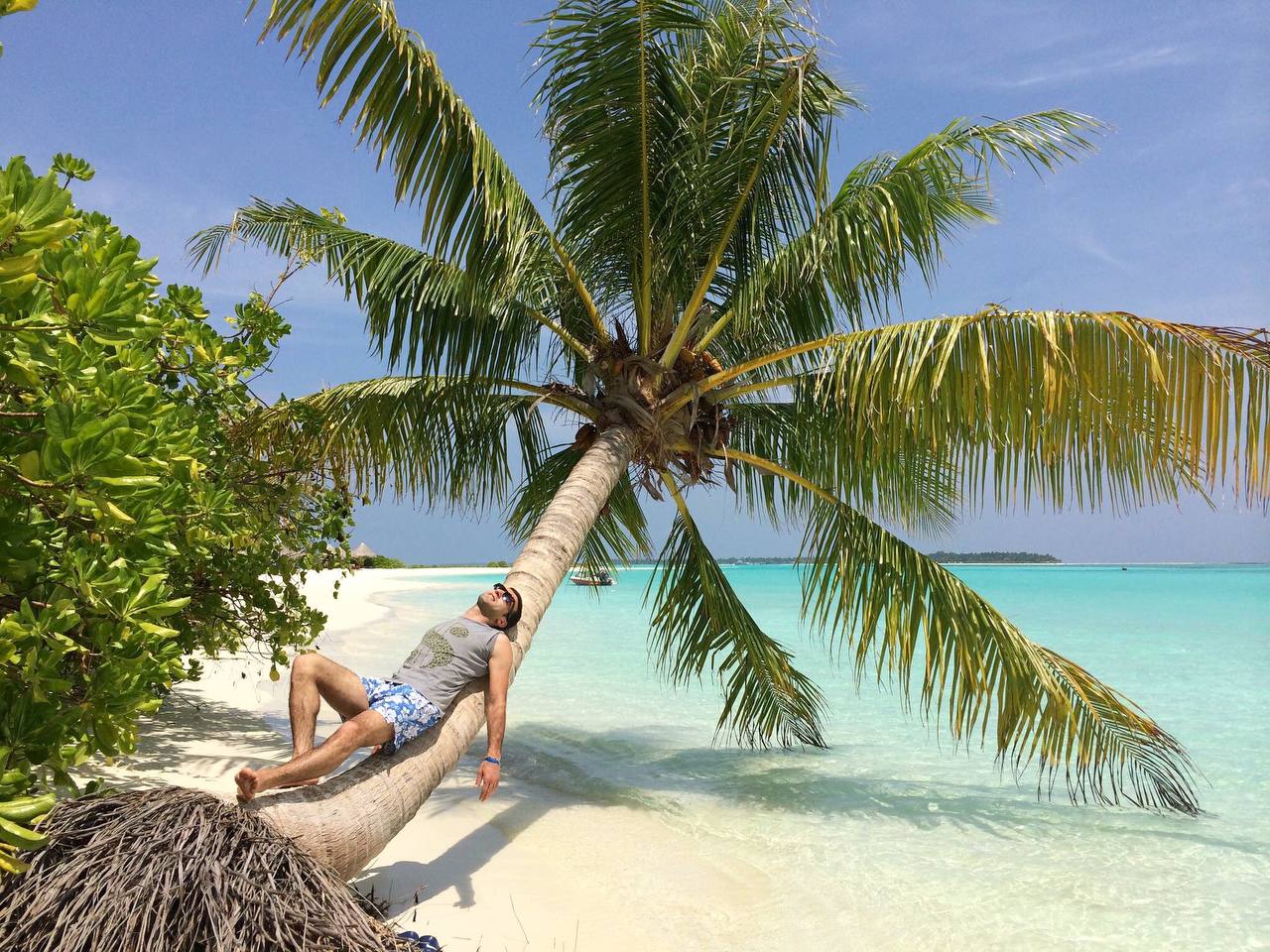 Elbaro (elbaro.lens) Lens social identity (.lens handle) PFP