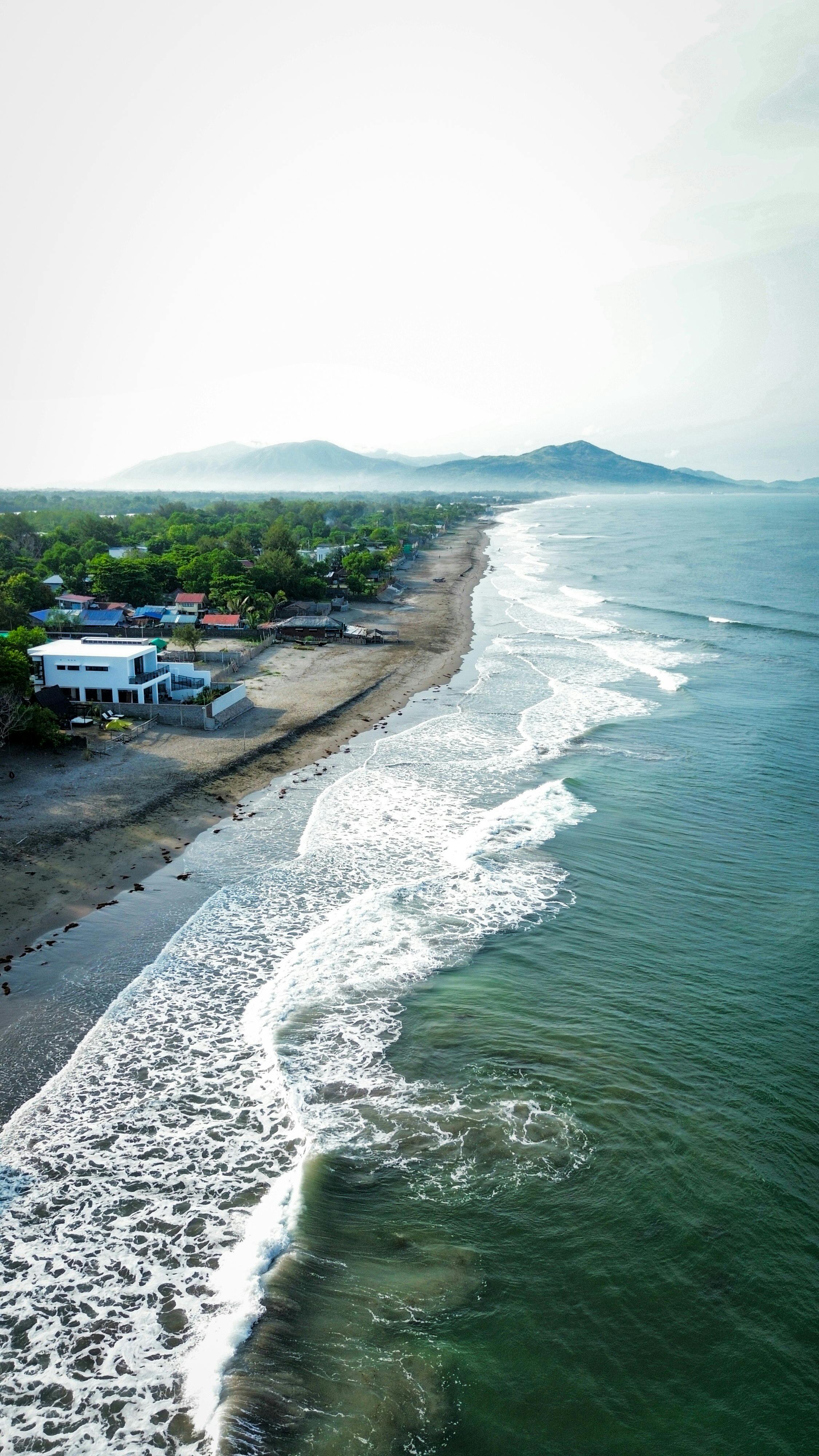 fitch (vcvgvvv.lens) Lens social identity (.lens handle) PFP