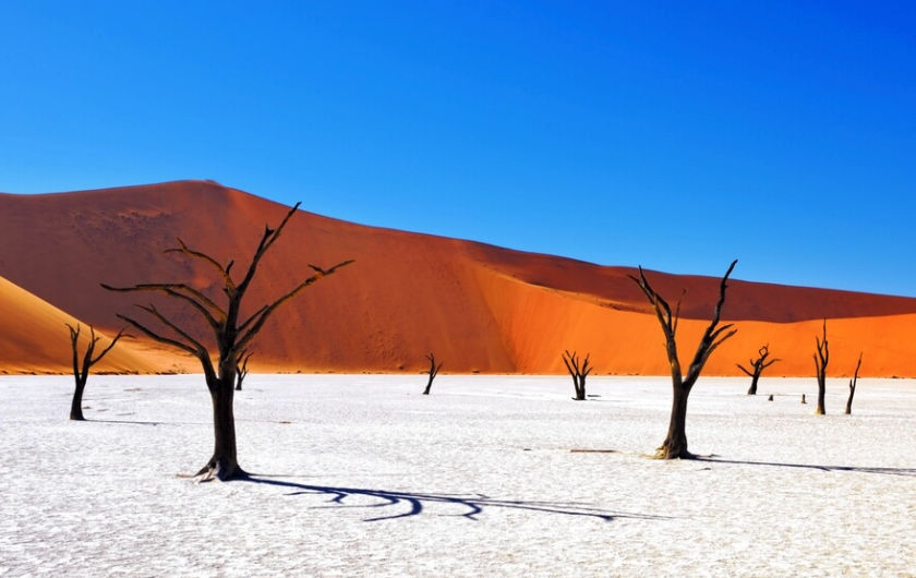 ramon (ramond.lens) Lens social identity (.lens handle) PFP