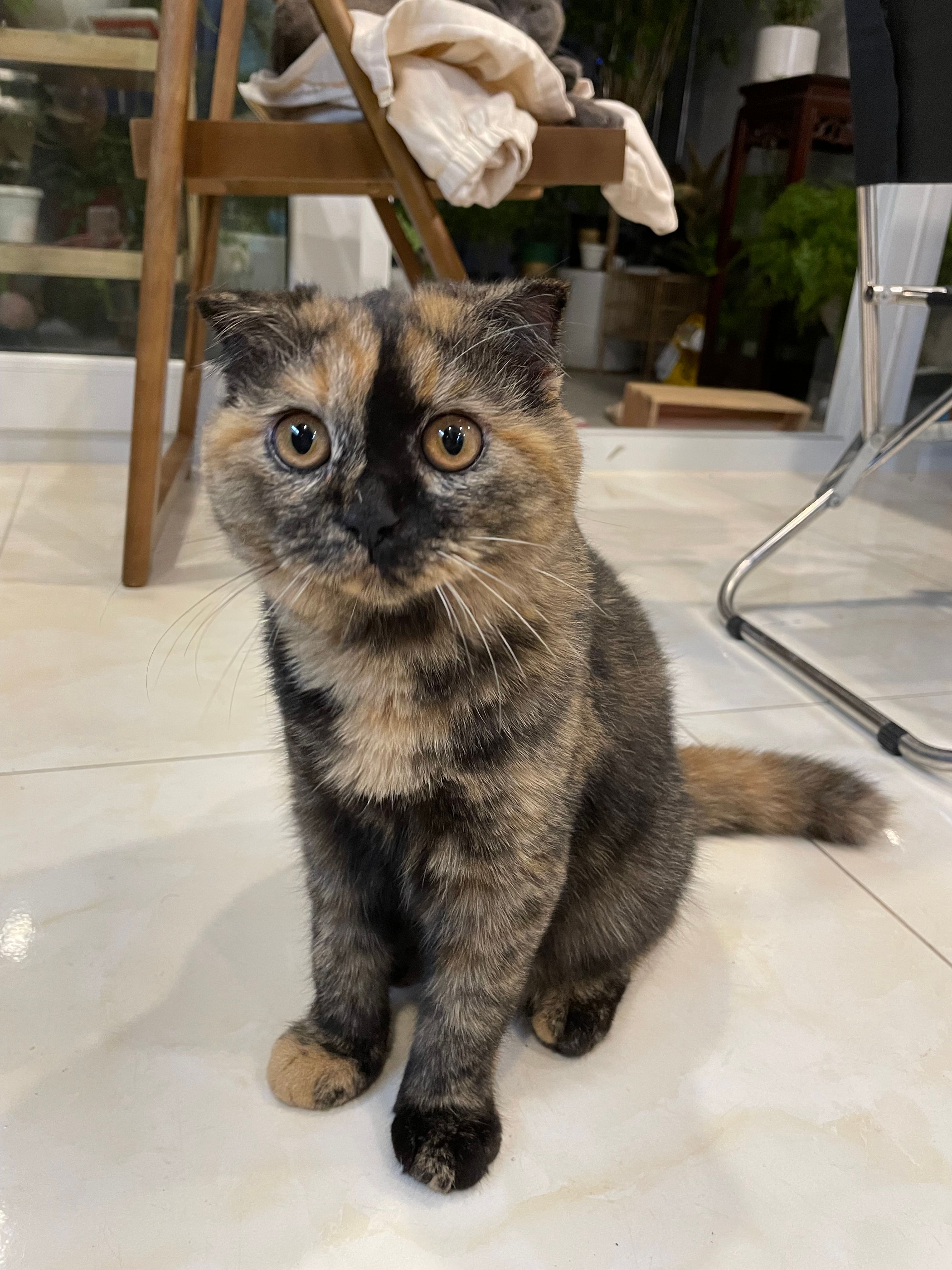 Mila (milakim.lens) Lens social identity (.lens handle) PFP